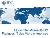 Utilisation du SaaS / Cloud dans les micro entreprises en France ?